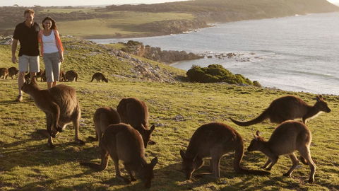 Kangaroo Island Seafront - Accommodation Sunshine Coast 13