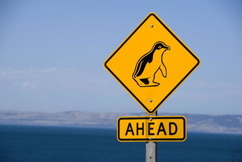 Kangaroo Island Seafront - Accommodation Sunshine Coast 43