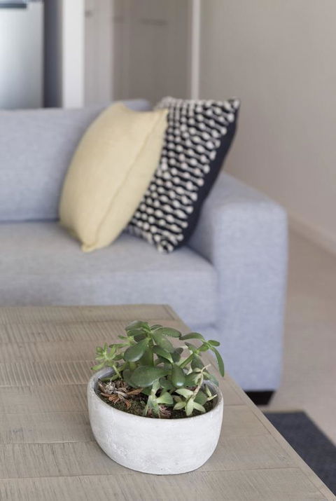 Port Adelaide Executive Waterfront Apartment - Accommodation Sunshine Coast 18