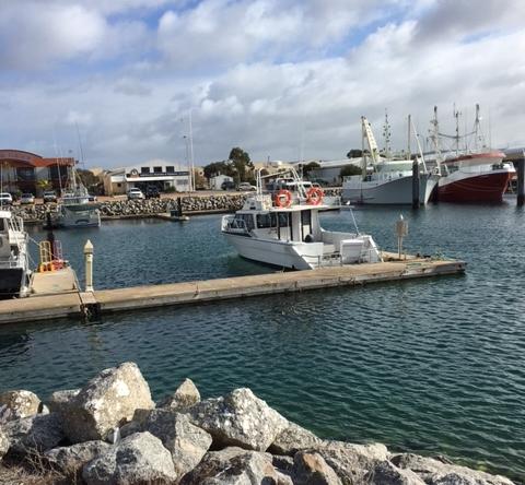 Port Lincoln Shark Apartment 1 - Accommodation Sunshine Coast 14