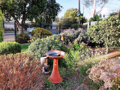 Beautiful Garden House - Accommodation Sunshine Coast 21