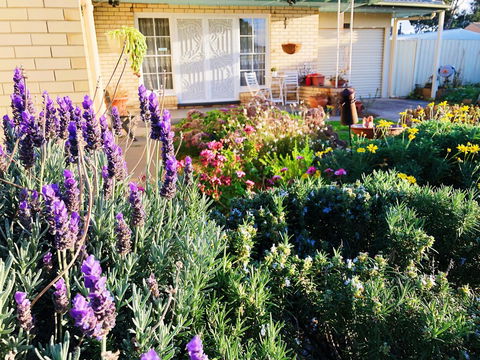 Beautiful Garden House - Accommodation Sunshine Coast 9