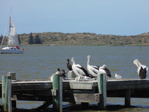 Baronet B & B - Accommodation Sunshine Coast 20