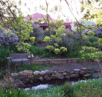 Frog Song at Willunga - Accommodation Sunshine Coast