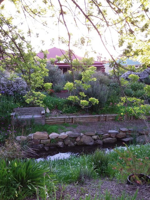 Frog Song At Willunga - Accommodation Sunshine Coast 0