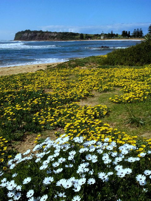 Serenity On Narrabeen Beach - 1Bdr Beachside Retreat - Accommodation Sunshine Coast 10