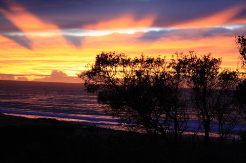 Serenity On Narrabeen Beach - 1Bdr Beachside Retreat - Accommodation Sunshine Coast 1