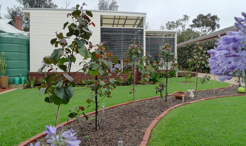 Grassmere House Magill - Accommodation Sunshine Coast 19