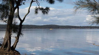 Book Sanctuary Point Accommodation Accommodation Sunshine Coast Accommodation Sunshine Coast