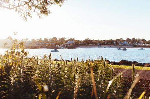 Majestic Oasis Apartments - Accommodation Sunshine Coast 4