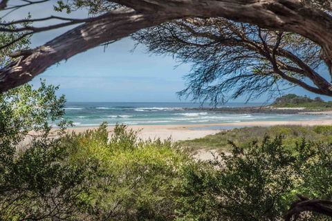 BIG4 Tasman Holiday Parks - Racecourse Beach - Accommodation Sunshine Coast 7