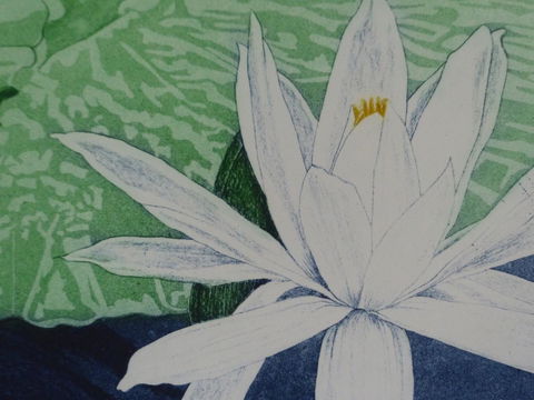 Monaco Court Apartment Adelaide - Accommodation Sunshine Coast 16