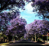 Monaco Court Apartment Adelaide - Accommodation Sunshine Coast