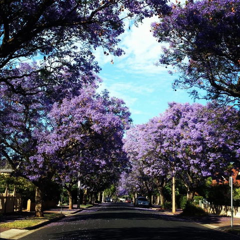 Monaco Court Apartment Adelaide - Accommodation Sunshine Coast 0