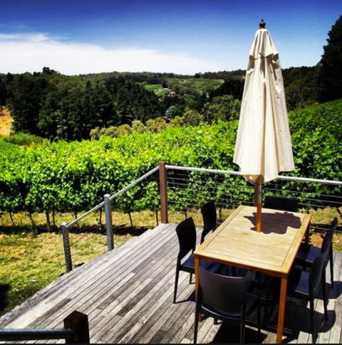 Monaco Court Apartment Adelaide - Accommodation Sunshine Coast 27