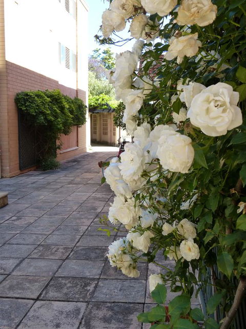 Monaco Court Apartment Adelaide - Accommodation Sunshine Coast 19