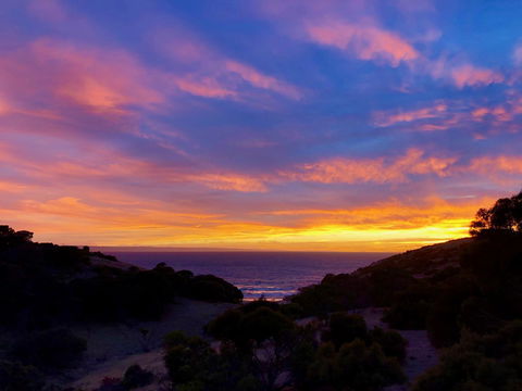 Sea Dragon Kangaroo Island - Accommodation Sunshine Coast 14