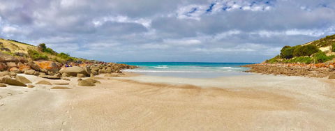 Sea Dragon Kangaroo Island - Accommodation Sunshine Coast 16