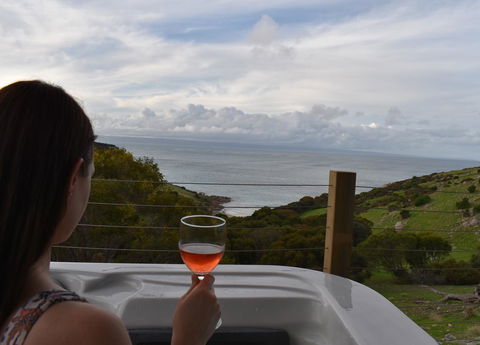 Sea Dragon Kangaroo Island - Accommodation Sunshine Coast 8