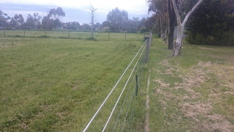 Gaerwood B&B - Accommodation Sunshine Coast 17