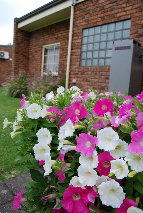 Arkana Motor Inn & Terrace Apartments - Accommodation Sunshine Coast 40