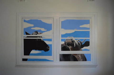 Two Cow Cottage Bed & Breakfast - Accommodation Sunshine Coast 24
