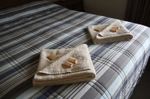 Isis Motel Scone - Accommodation Sunshine Coast 3