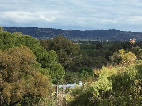 Tasha\'s Apartments On Warwick - Accommodation Sunshine Coast 33