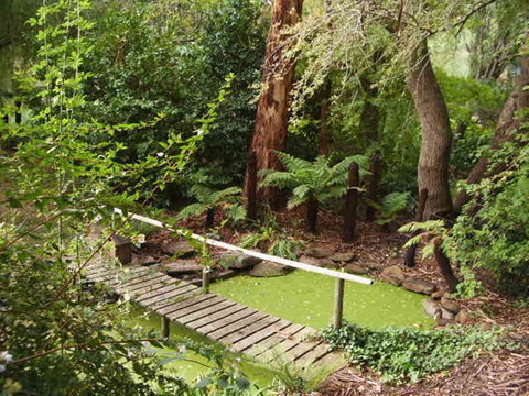 Hilltop - Accommodation Sunshine Coast 10
