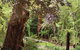 Hilltop - thumb 13