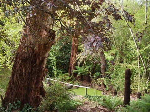 Hilltop - Accommodation Sunshine Coast 13