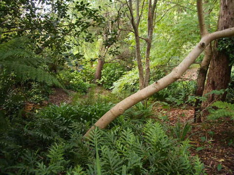 Hilltop - Accommodation Sunshine Coast 17