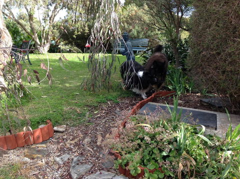 Casuarina Coastal Units - Accommodation Sunshine Coast 29