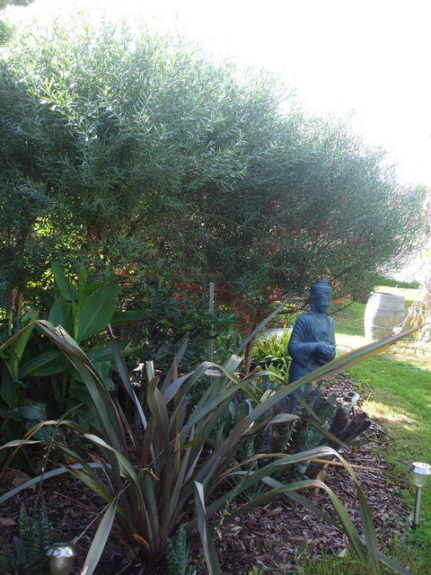 Casuarina Coastal Units - Accommodation Sunshine Coast 16