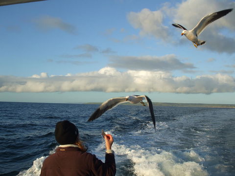 Casuarina Coastal Units - Accommodation Sunshine Coast 25