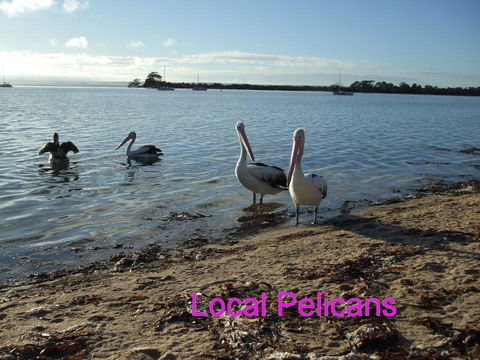 Casuarina Coastal Units - Accommodation Sunshine Coast 23