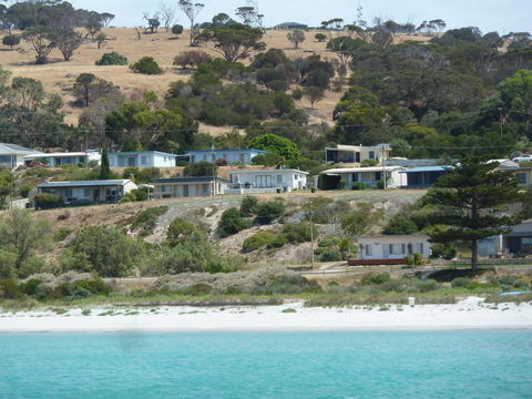 SeaShells Penneshaw - Accommodation Sunshine Coast 27