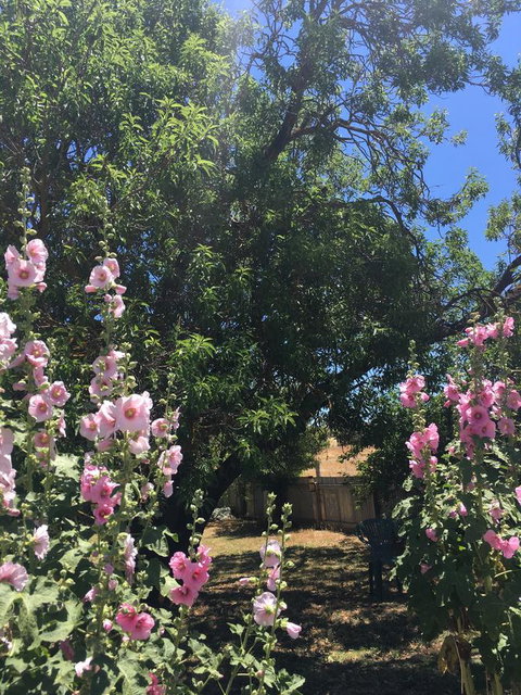 Amy\'s House Bed & Breakfast - Accommodation Sunshine Coast 37