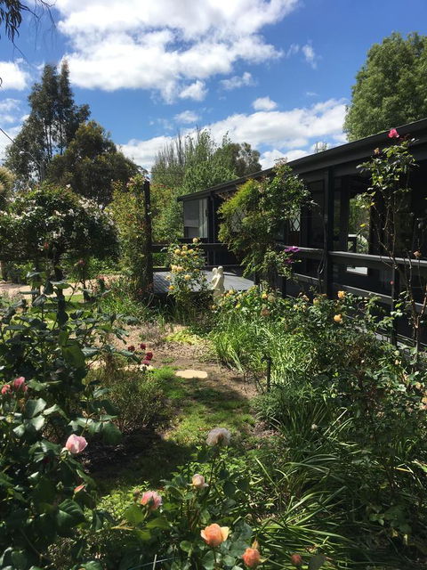 Hilltop Too - Accommodation Sunshine Coast 4