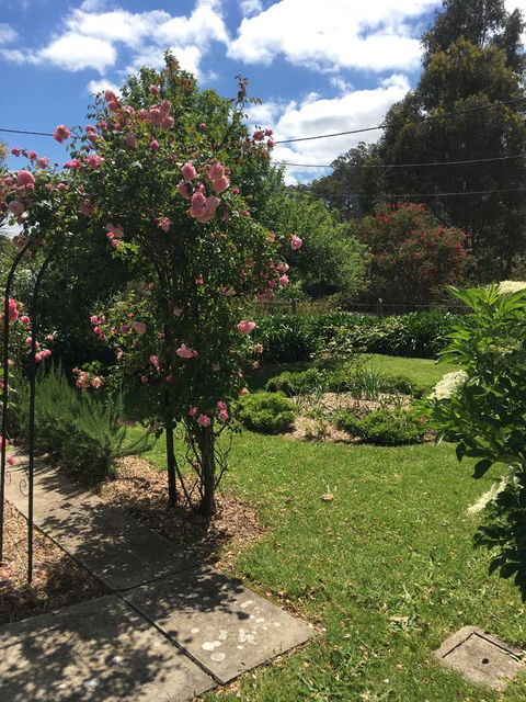 Hilltop Too - Accommodation Sunshine Coast 13