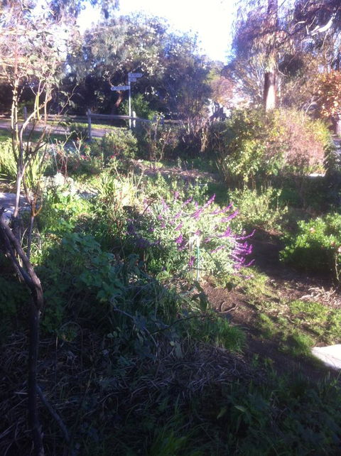 Hilltop Too - Accommodation Sunshine Coast 12