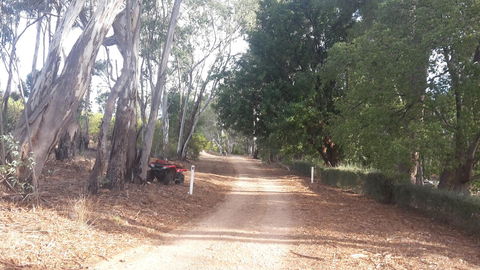 Taralee Orchards - Accommodation Sunshine Coast 4