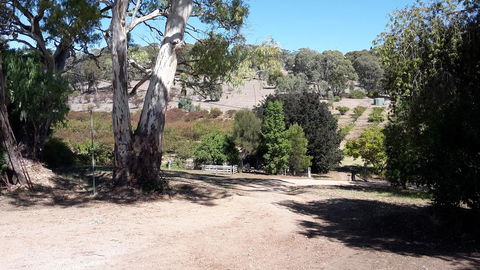 Taralee Orchards - Accommodation Sunshine Coast 3