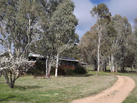 Taralee Orchards - Accommodation Sunshine Coast 9