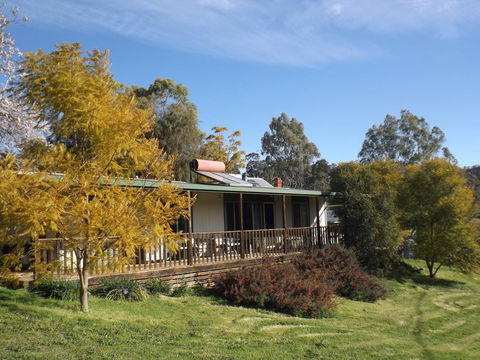 Taralee Orchards - Accommodation Sunshine Coast 7