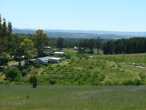 Taralee Orchards - Accommodation Sunshine Coast 0
