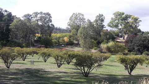 Taralee Orchards - Accommodation Sunshine Coast 1
