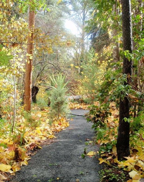 Aldgate Valley Bed And Breakfast - Accommodation Sunshine Coast 43