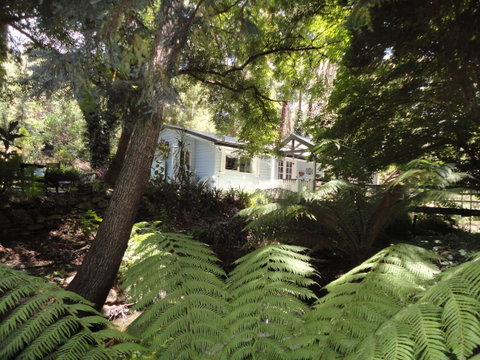 Aldgate Valley Bed And Breakfast - Accommodation Sunshine Coast 30