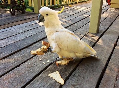 Aldgate Valley Bed And Breakfast - Accommodation Sunshine Coast 40